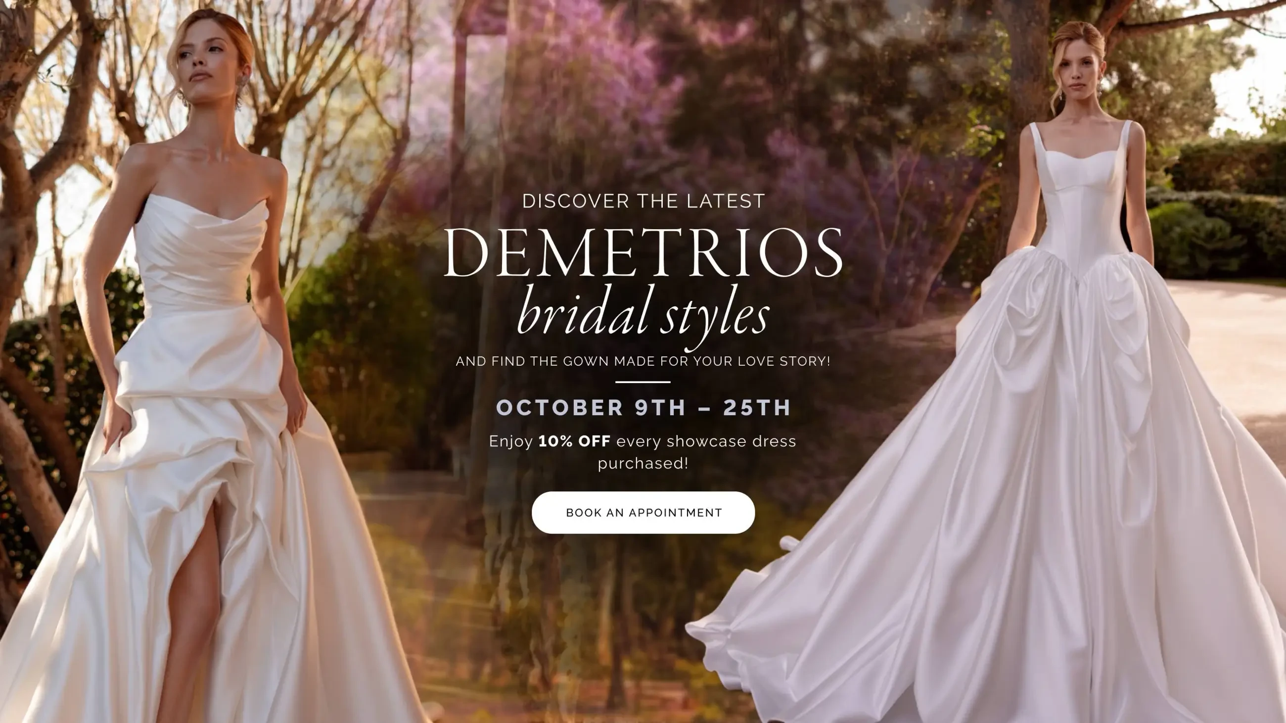 Demetrios Banner for Desktop